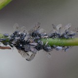 DSC0285