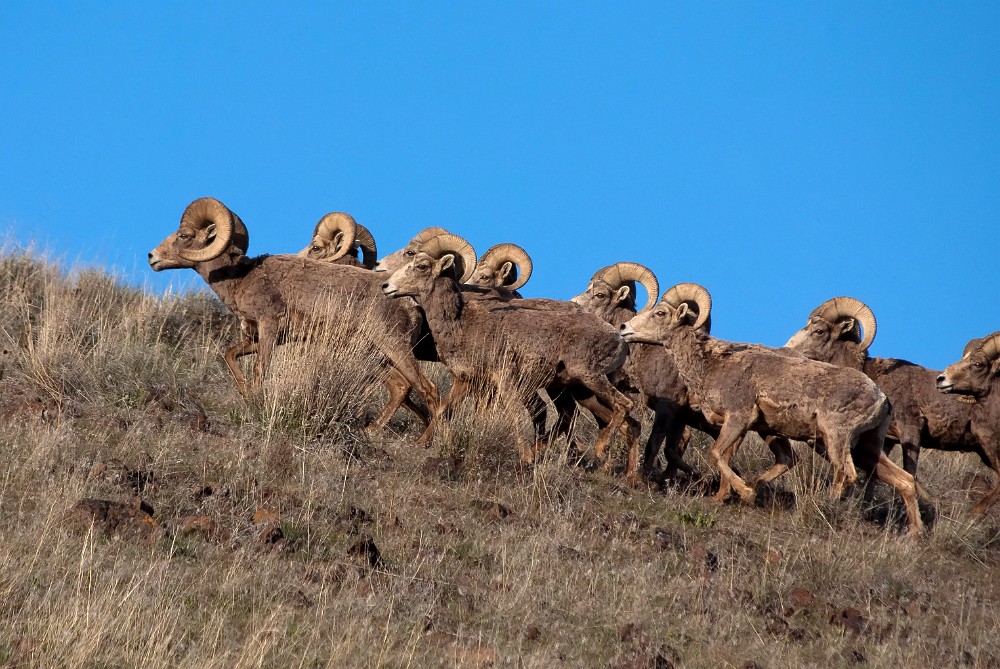 On the move